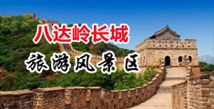 趴下裤子脱了调教在线观看中国北京-八达岭长城旅游风景区